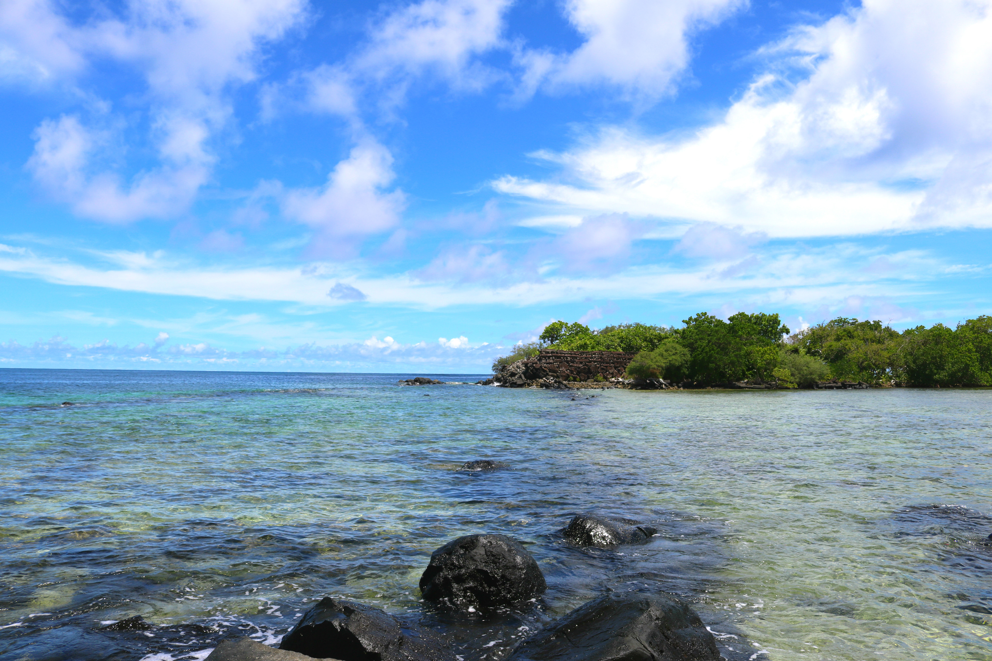 The Second Summer Program for Students of Sophia University / Junior College Division at College of Micronesia -