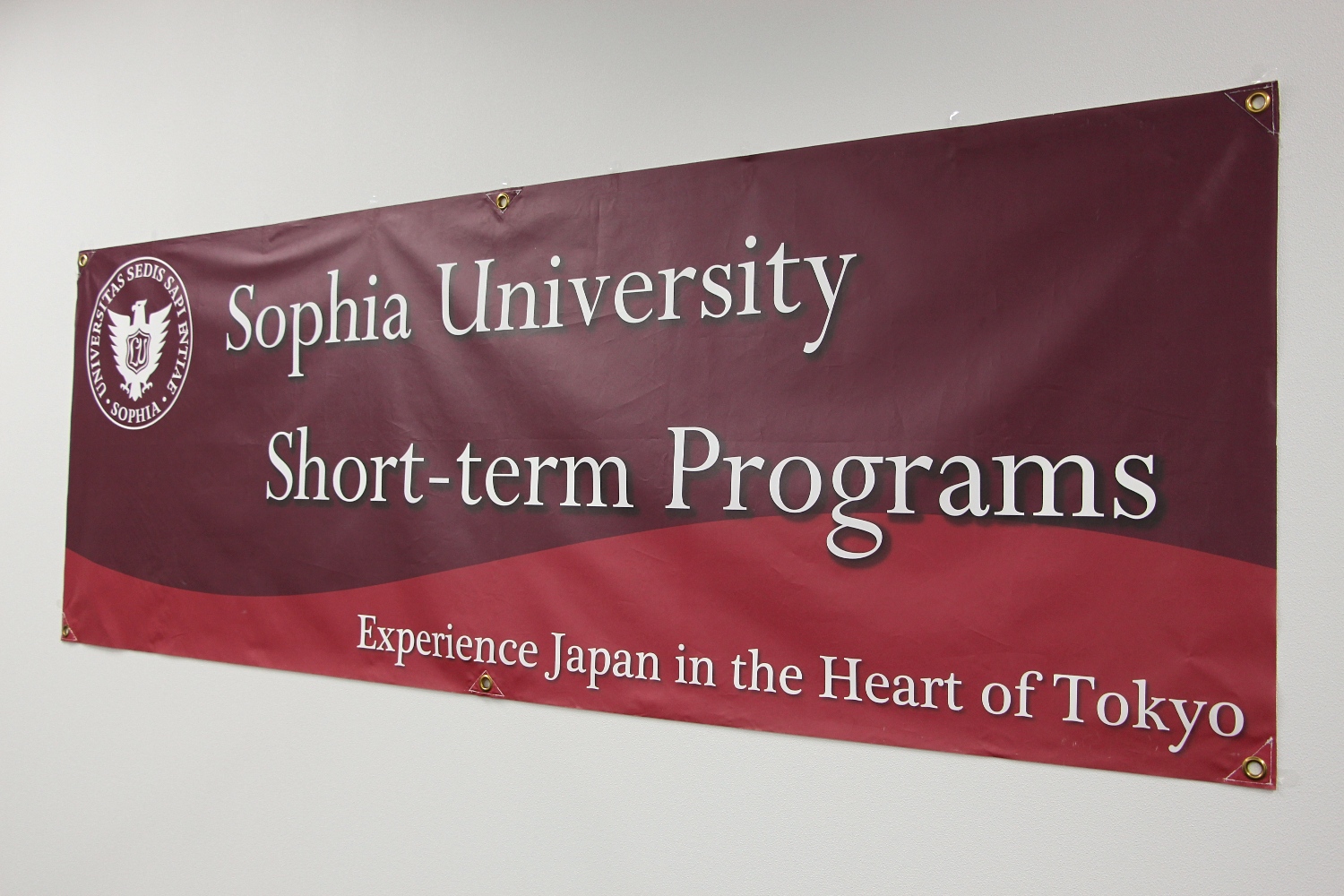 UWI St. Augustine Campus Centre for Language Learning Japanese Language Students Take Part in Sophia University’s ‘January Session’ Online