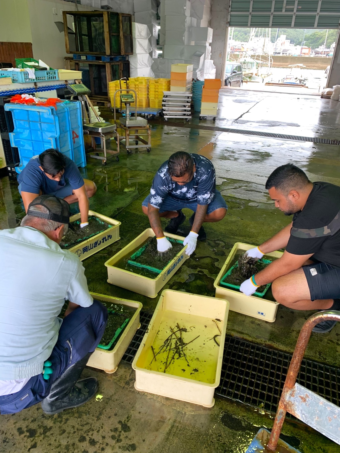 Micronesia Future Leaders Invitation Program