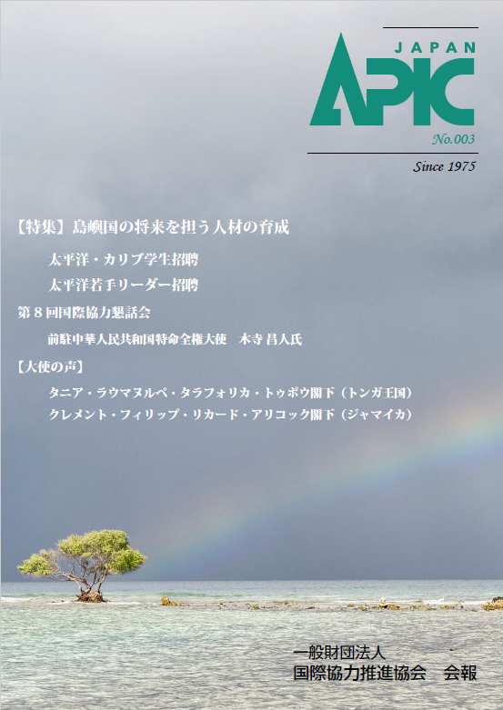 APIC会報 No.3