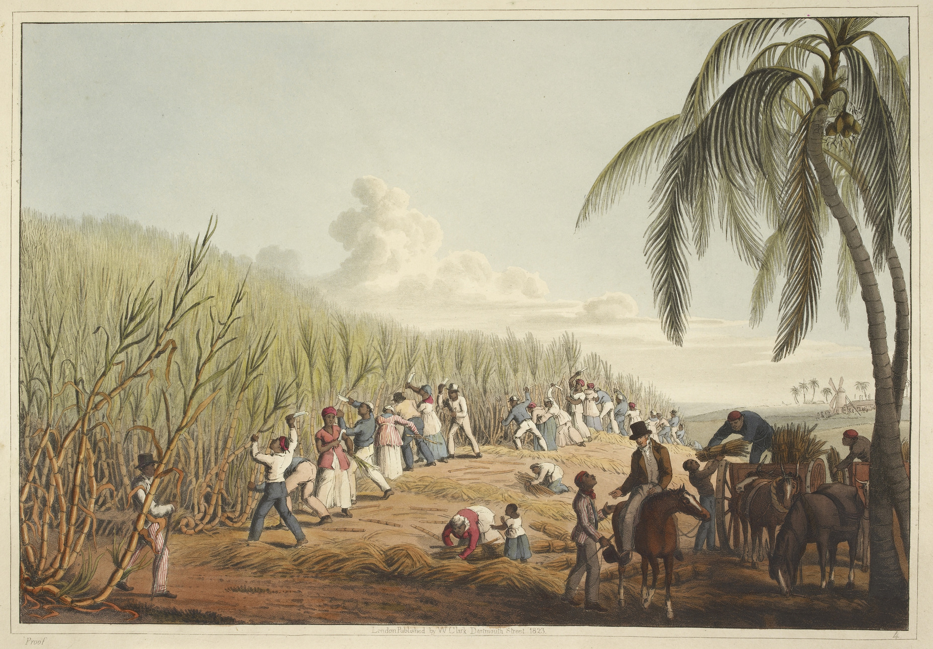 「バルバドス　歴史の散歩道」（その８）　第5部　砂糖、ラム酒、そして奴隷（続き）