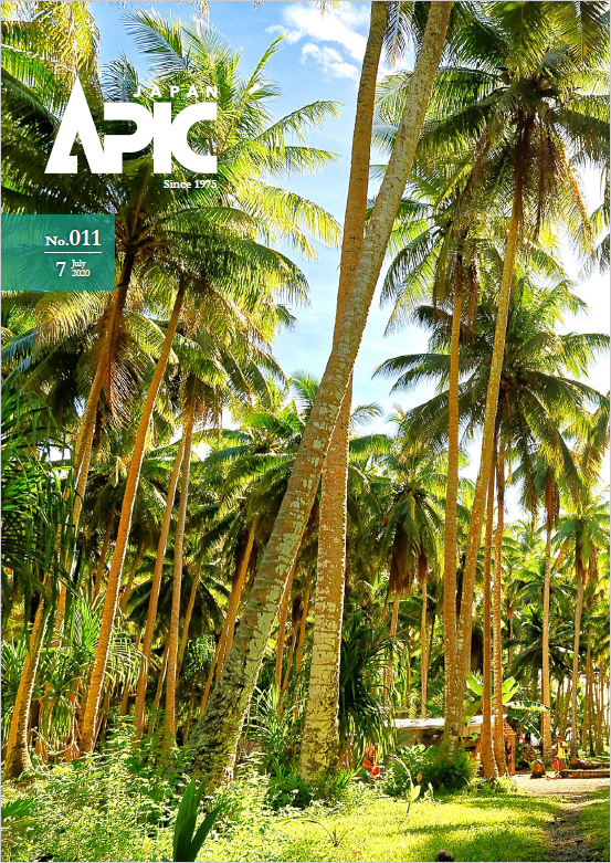 APIC会報 No.11